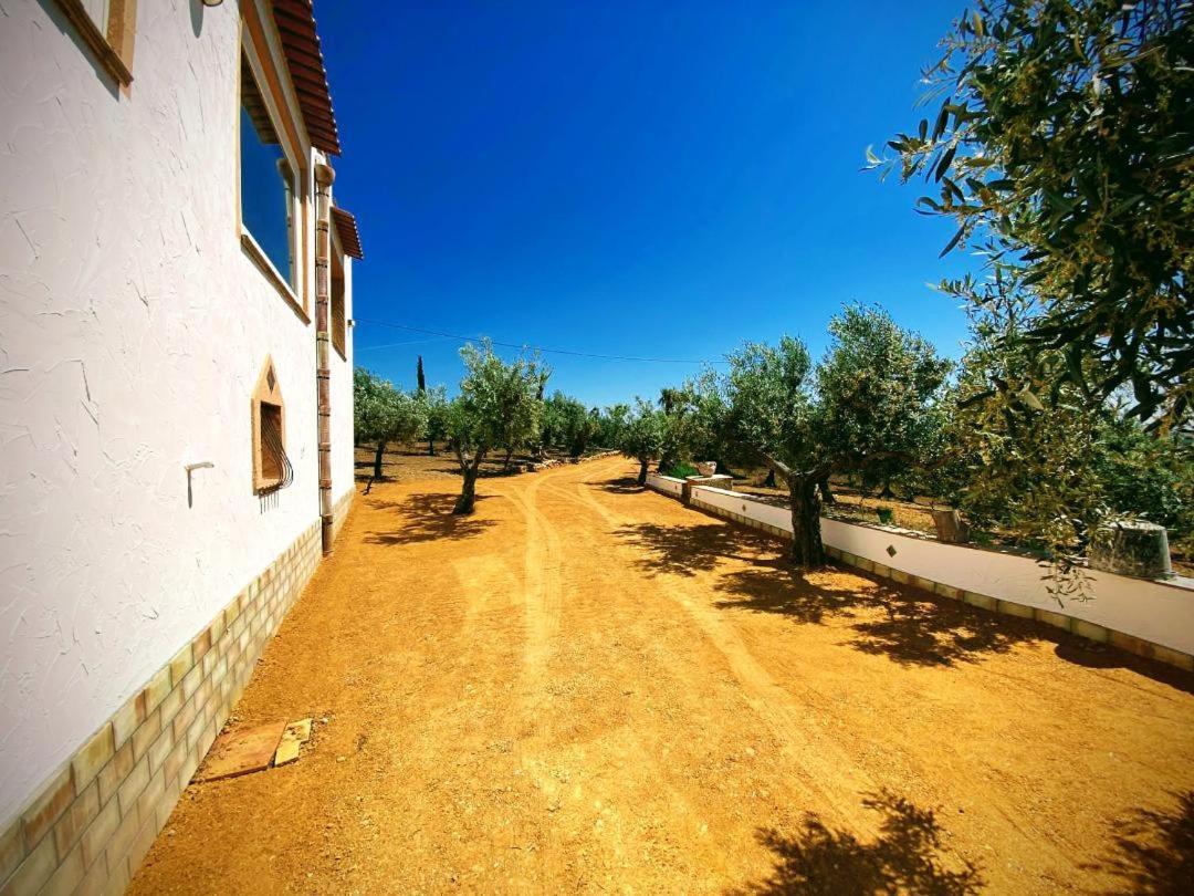 Villa Immersa In Oliveto Vista Mare Sciacca Exterior photo